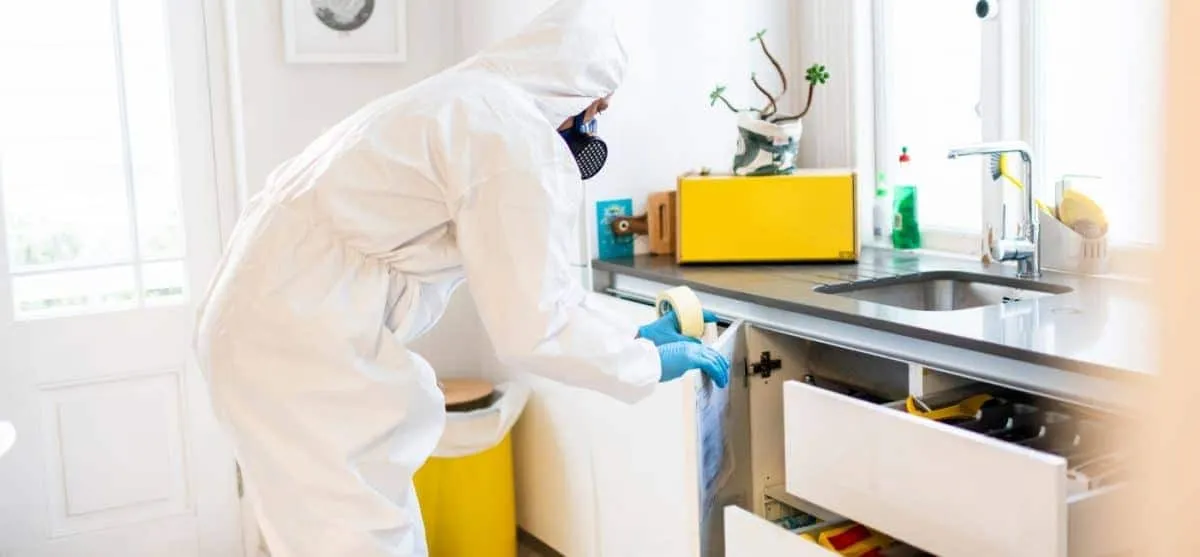 En bild på Sanering